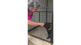 Spontaner Besuch bei Julia – Bild 1