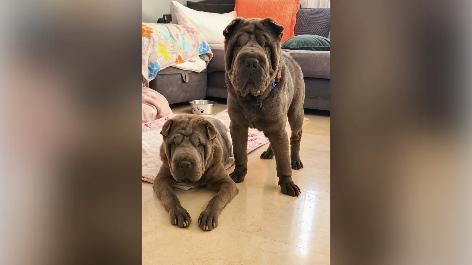 Malia und Mimo bekommen neue Chance