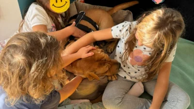 Sharon hat ihr Zuhause gefunden – Bild 2