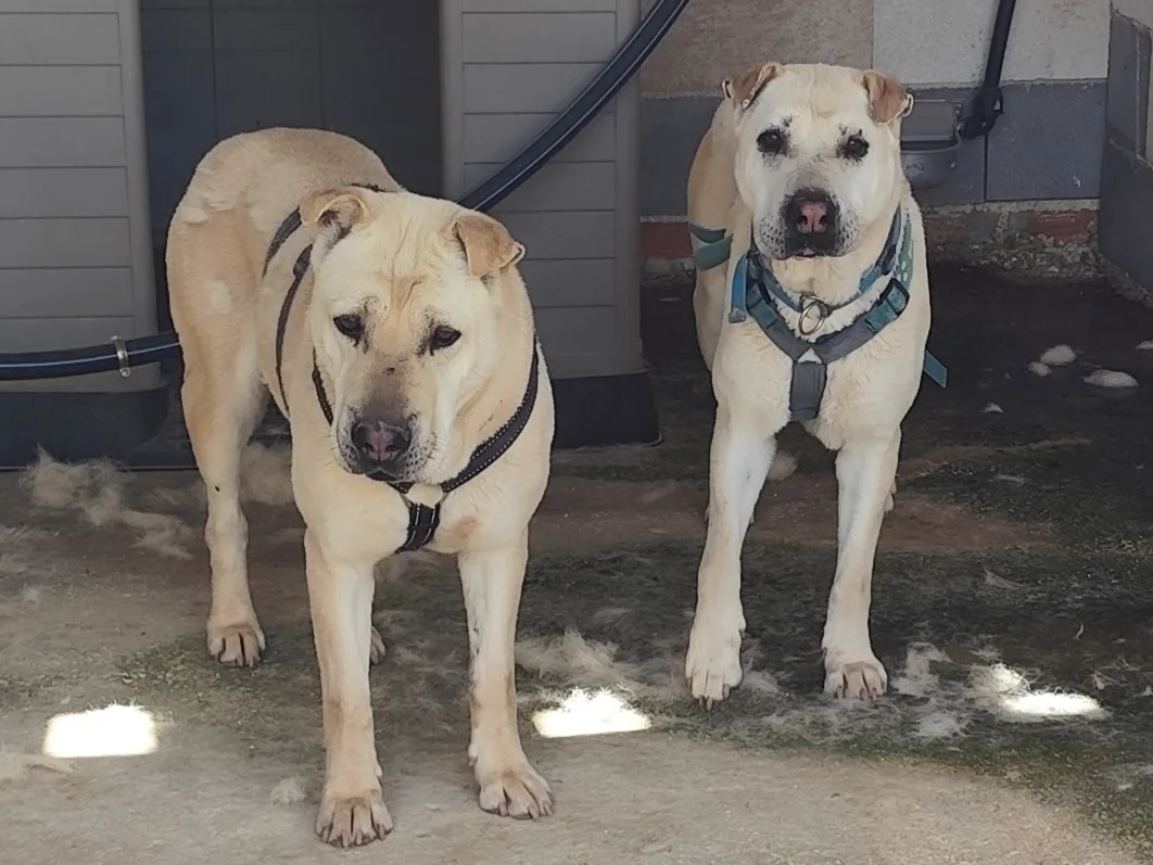 Claire und Bianca
