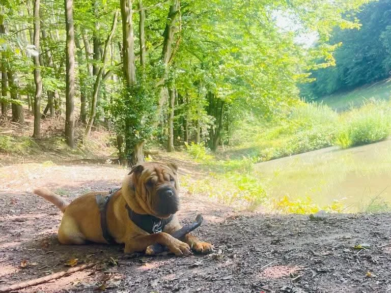Edgar